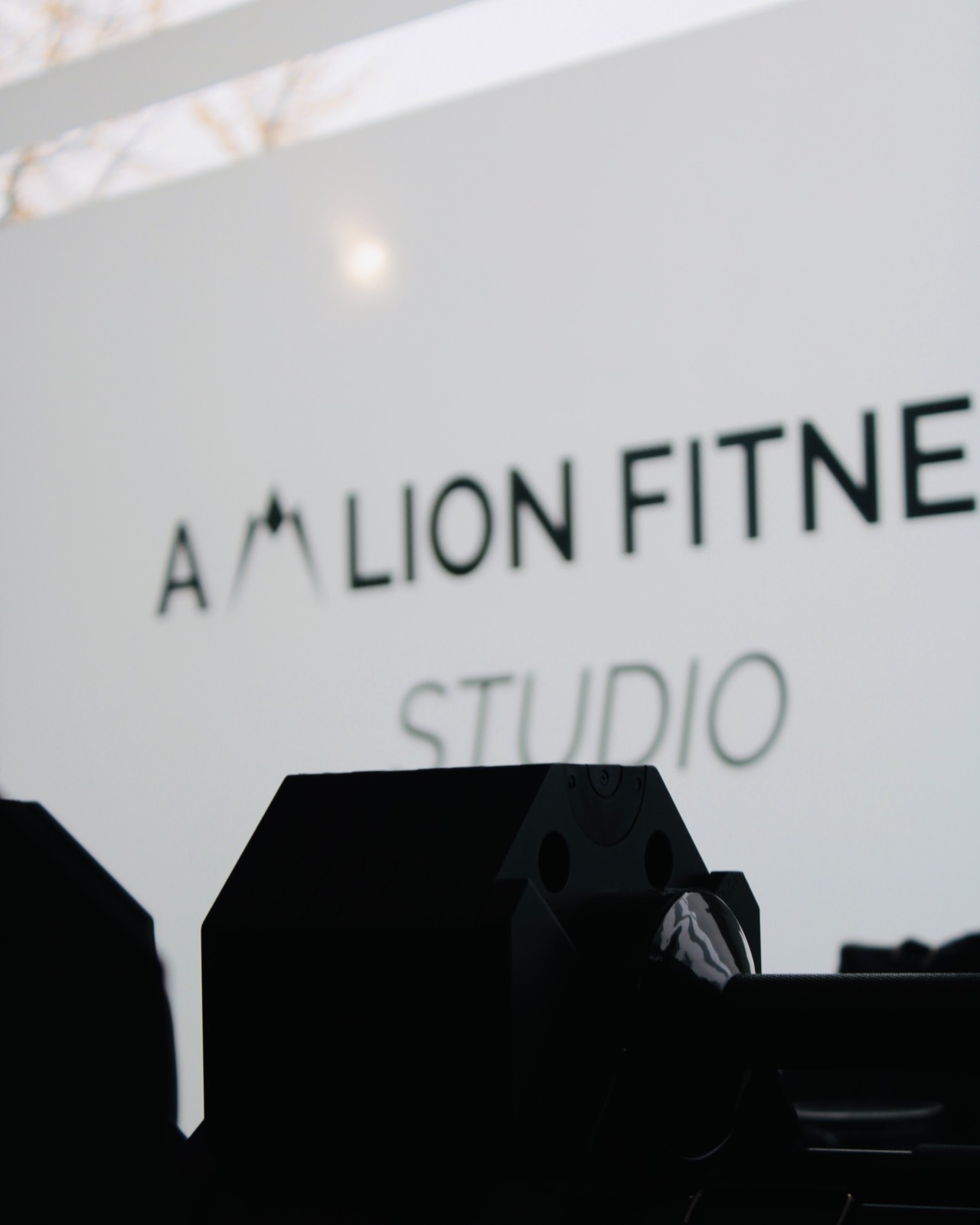 Amlion studio